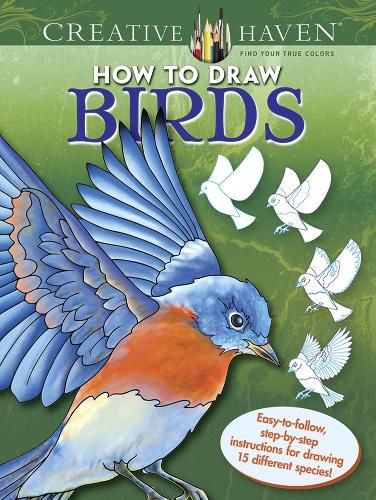 Cover image for Creative Haven How to Draw Birds: Easy-to-follow, step-by-step instructions for drawing 15 different species