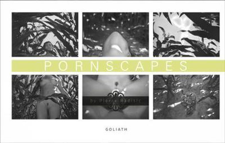 Cover image for Pornscapes