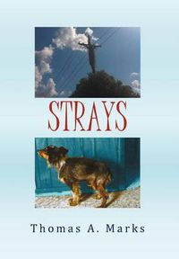 Cover image for Strays