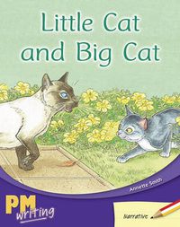 Cover image for Little Cat and Big Cat