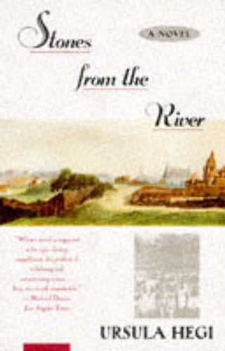 Cover image for Stones from the River