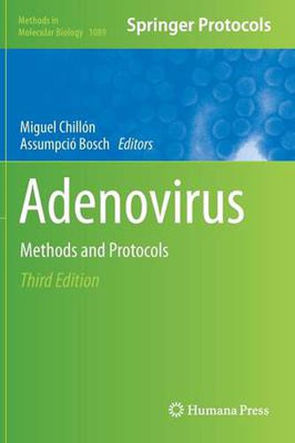 Cover image for Adenovirus: Methods and Protocols