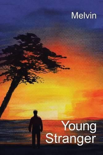 Cover image for Young Stranger