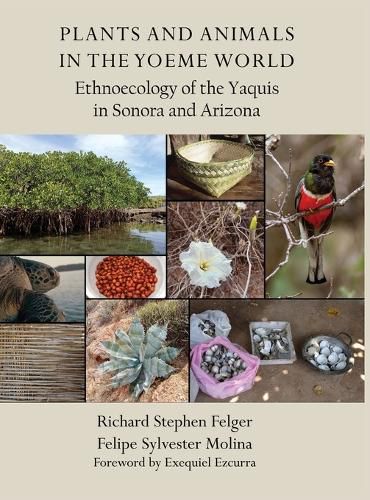 Cover image for Plants and Animals in the Yoeme World