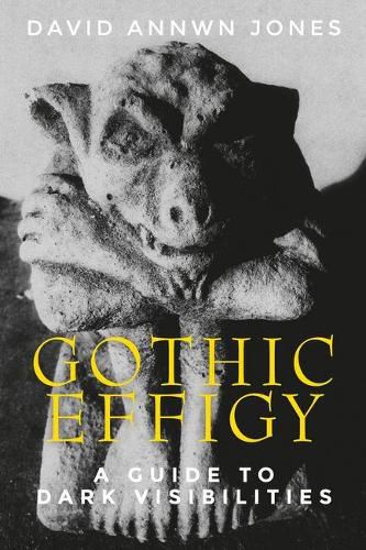 Cover image for Gothic Effigy: A Guide to Dark Visibilities