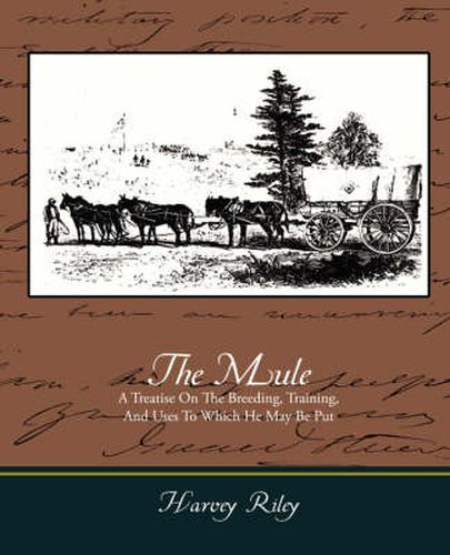 Cover image for The Mule - A Treatise on the Breeding, Training, and Uses to Which He May Be Put