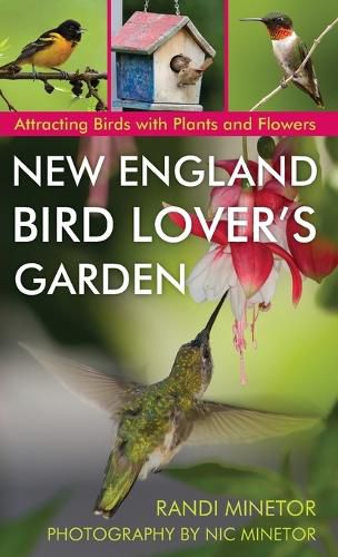Cover image for New England Bird Lover's Garden: Attracting Birds with Plants and Flowers