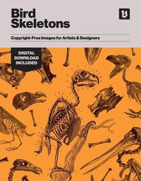 Cover image for Bird Skeletons: Copyright-Free Images for Artists & Designers