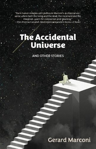 Cover image for The Accidental Universe and Other Stories