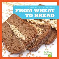 Cover image for From Wheat to Bread