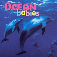 Cover image for Ocean Babies BD