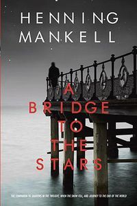 Cover image for A Bridge to the Stars