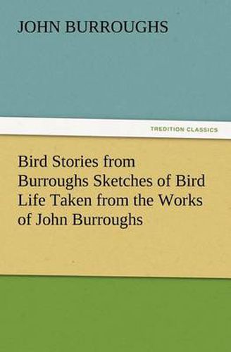 Cover image for Bird Stories from Burroughs Sketches of Bird Life Taken from the Works of John Burroughs