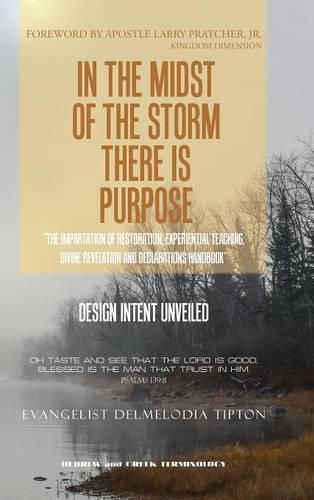 Cover image for In the Midst of the Storm There Is Purpose