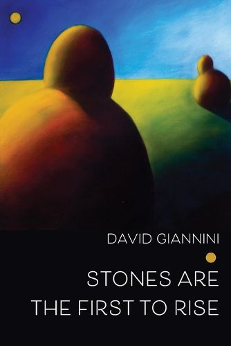 Cover image for Stones are the First to Rise