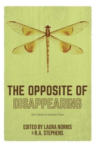 The Opposite of Disappearing