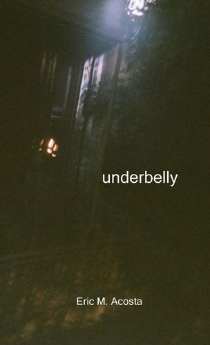 Cover image for underbelly