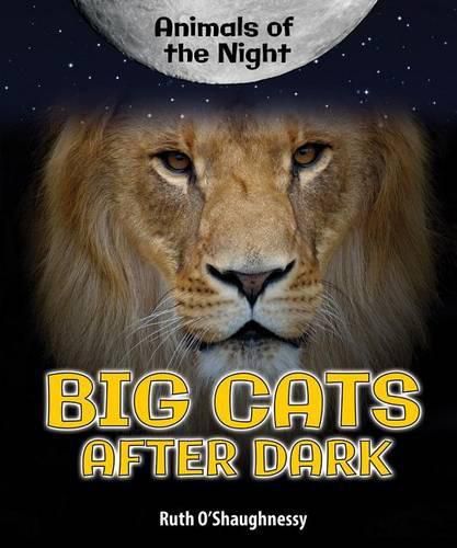 Cover image for Big Cats After Dark