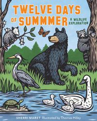 Cover image for Twelve Days of Summer