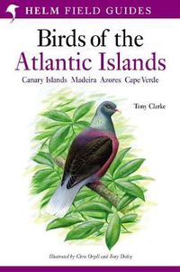 Cover image for A Field Guide to the Birds of the Atlantic Islands: Canary Islands, Madeira, Azores, Cape Verde