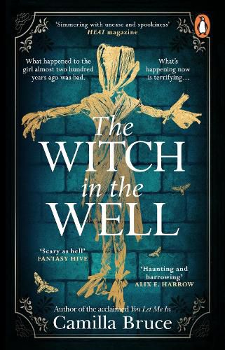 Cover image for The Witch in the Well