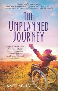 Cover image for The Unplanned Journey