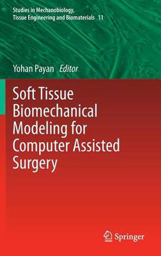 Cover image for Soft Tissue Biomechanical Modeling for Computer Assisted Surgery