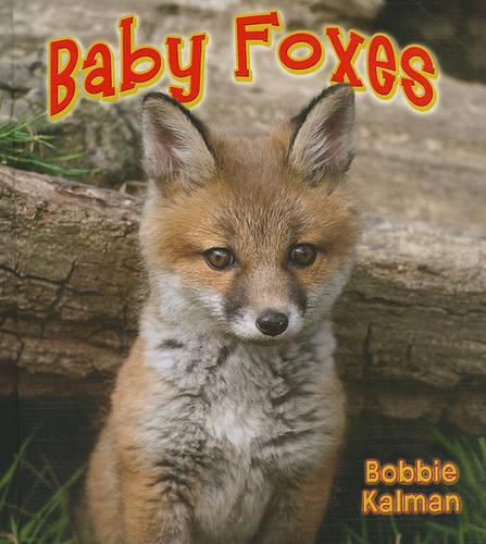 Cover image for Baby Foxes