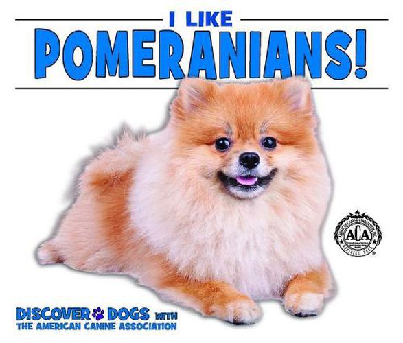 I Like Pomeranians!