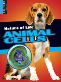 Cover image for Animal Cells