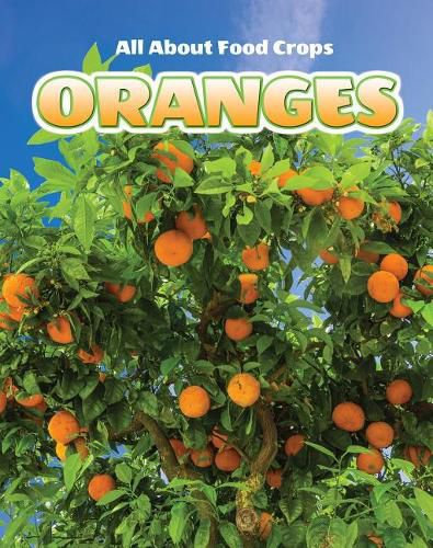 Cover image for Oranges