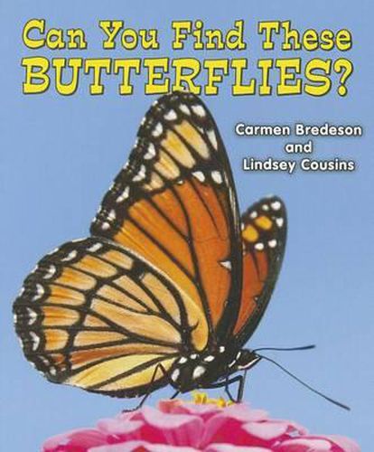 Can You Find These Butterflies?