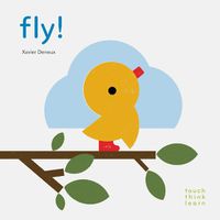 Cover image for Fly!