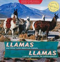 Cover image for Llamas and Other Latin American Camels / Llamas Y Otros Camelidos de Latinoamerica