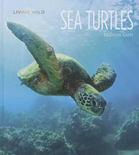 Cover image for Sea Turtles