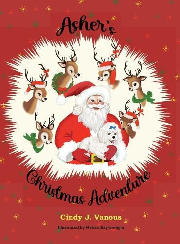 Cover image for Asher's Christmas Adventure