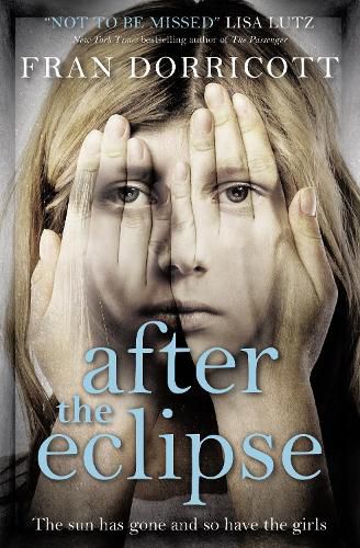 Cover image for After the Eclipse