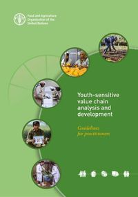 Cover image for Youth-sensitive value chain analysis and development