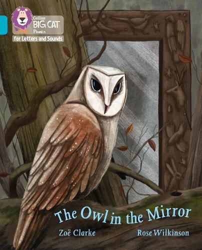 Cover image for The Owl in the Mirror: Band 07/Turquoise