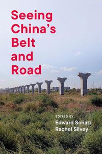 Cover image for Seeing China's Belt and Road