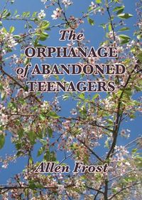 Cover image for The Orphanage of Abandoned Teenagers