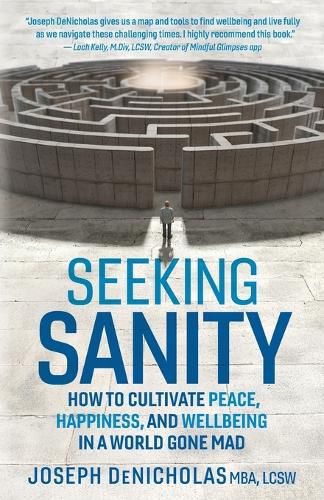 Cover image for Seeking Sanity