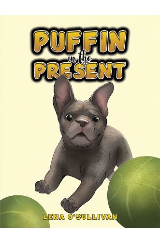 Cover image for Puffin in the Present