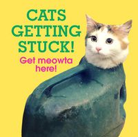 Cover image for Cats Getting Stuck!