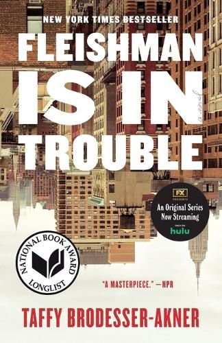 Cover image for Fleishman Is in Trouble: A Novel