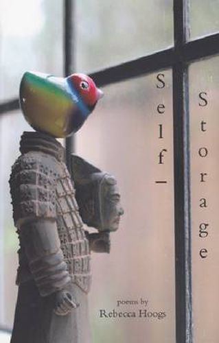 Cover image for Self-Storage