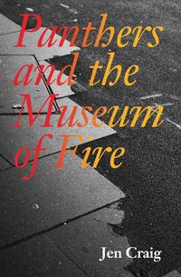 Cover image for Panthers and the Museum of Fire