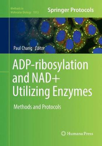 Cover image for ADP-ribosylation and NAD+ Utilizing Enzymes: Methods and Protocols