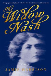 Cover image for The Widow Nash: A Novel