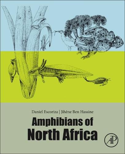 Cover image for Amphibians of North Africa